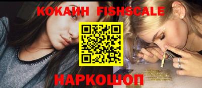 индика Кандалакша