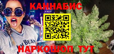 индика Кандалакша