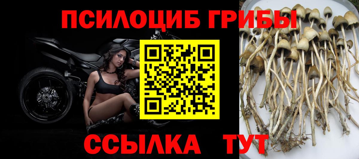 Псилоцибиновые грибы Magic Shrooms Кировск