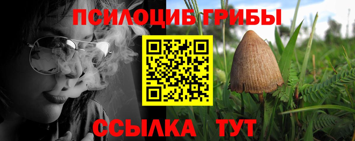 Псилоцибиновые грибы мухоморы  Вход с VPN  сколько стоит  Кировск  Галлюциногенные грибы GOLDEN TEACHER 